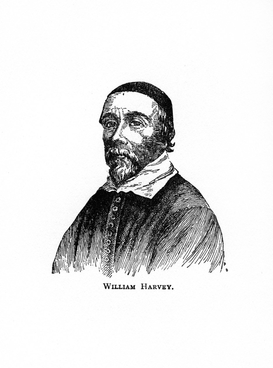 William Harvey, engelsk lege fra 1600-tallet, 1900-tallet av Unbekannt