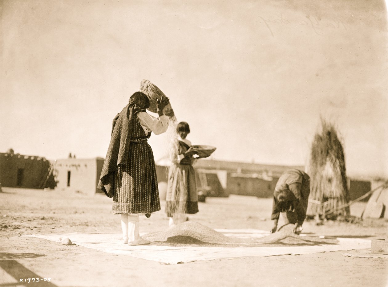 Å vinne hvete--San Juan 1905 (bilde) av Unbekannt