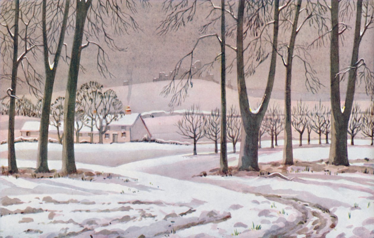 Vinter - De fysiske, kjemiske og biologiske endringene som ble utført av solen i løpet av året, 1935 av Unbekannt