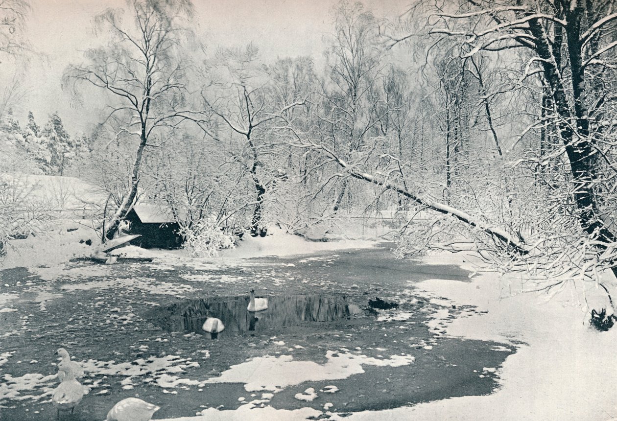 Vinterutsikt over friluftsmuseet på Skansen, ca 1900 av Unbekannt