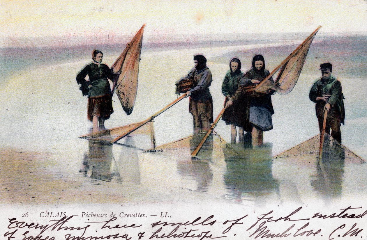 Kvinnelige rekefiskere, Calais, 1905 av Unbekannt