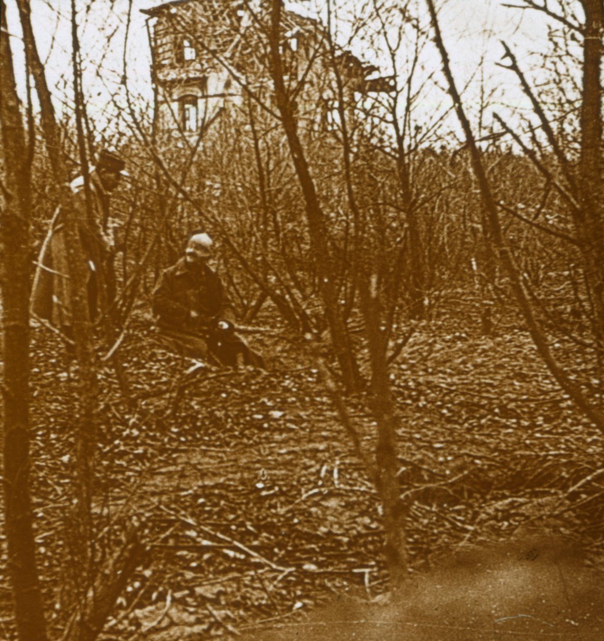 Wood, c1914-c1918 av Unbekannt
