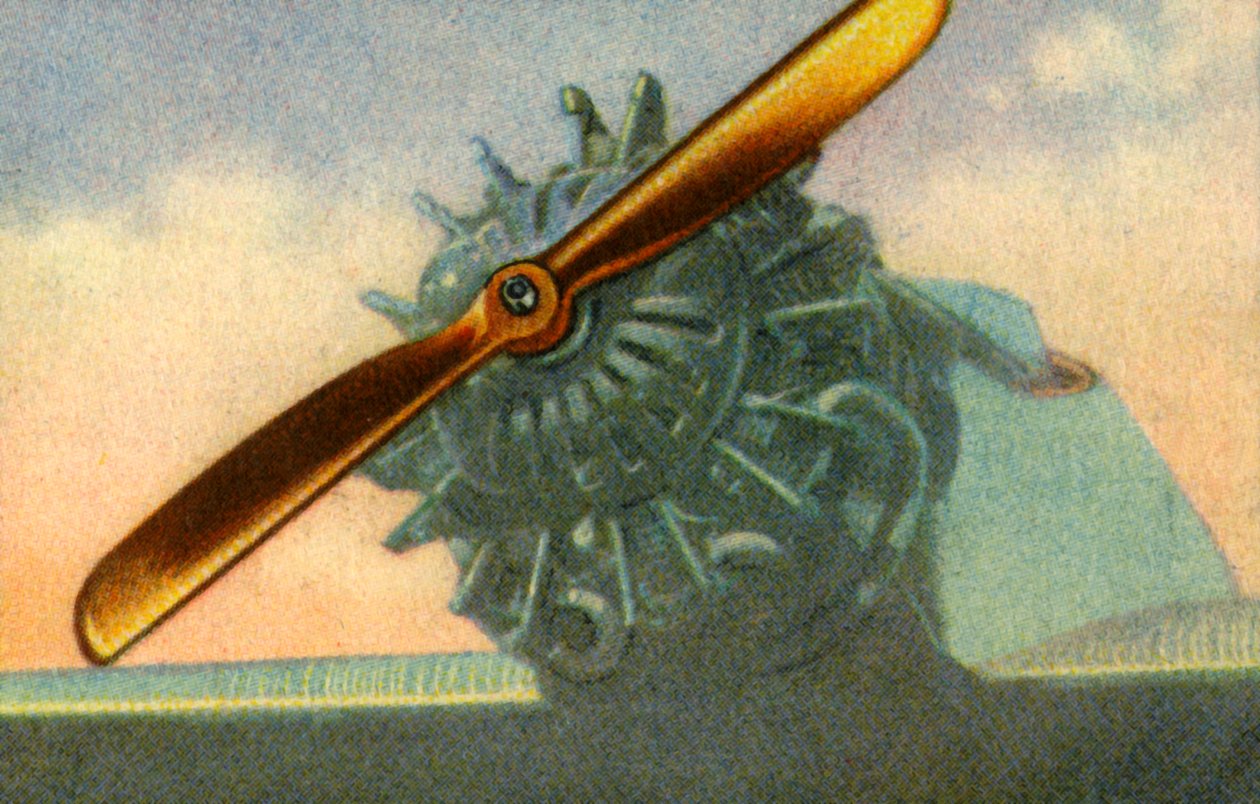 Treflypropell laget av Schwarz Propeller-Werk-selskapet, 1932. av Unbekannt