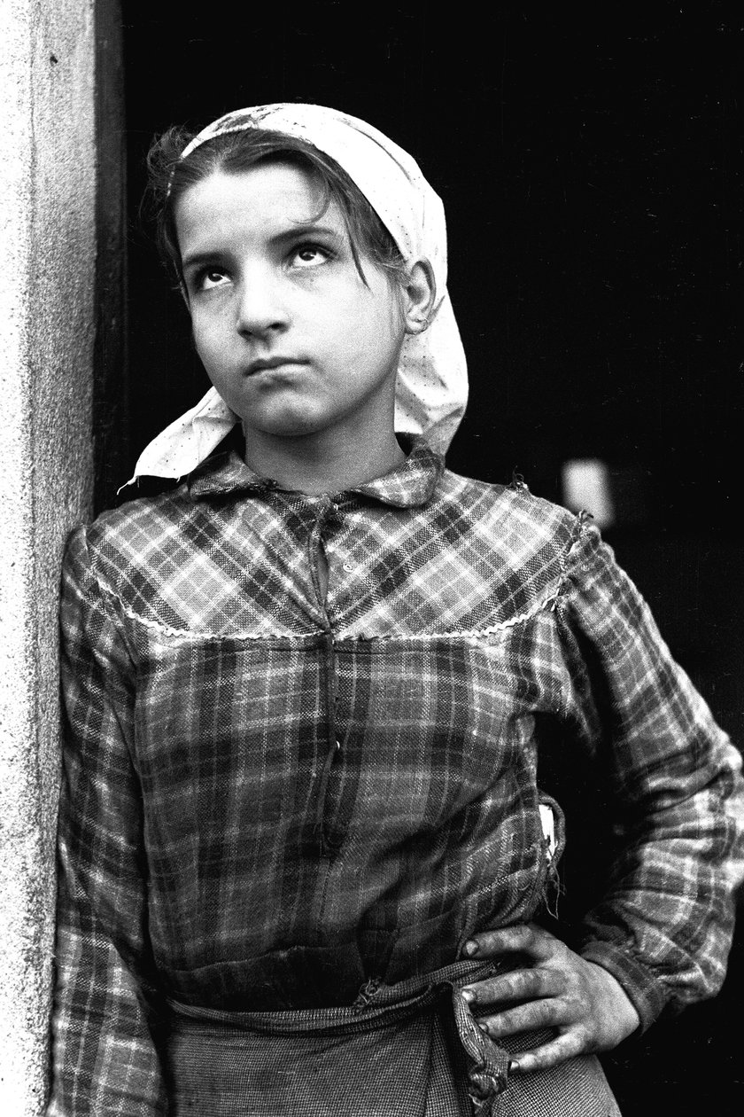 Ung jente som jobber som olivenplukker i Calabria, Italia, ca. 1955 (s/hvitt-bilde) av Unbekannt