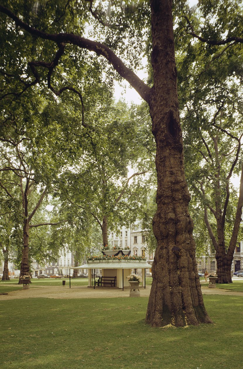 Berkeley Square, London W1 av Unbekannt Unbekannt