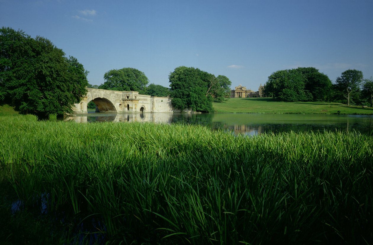 Blenheim Palace, Oxfordshire av Unbekannt Unbekannt
