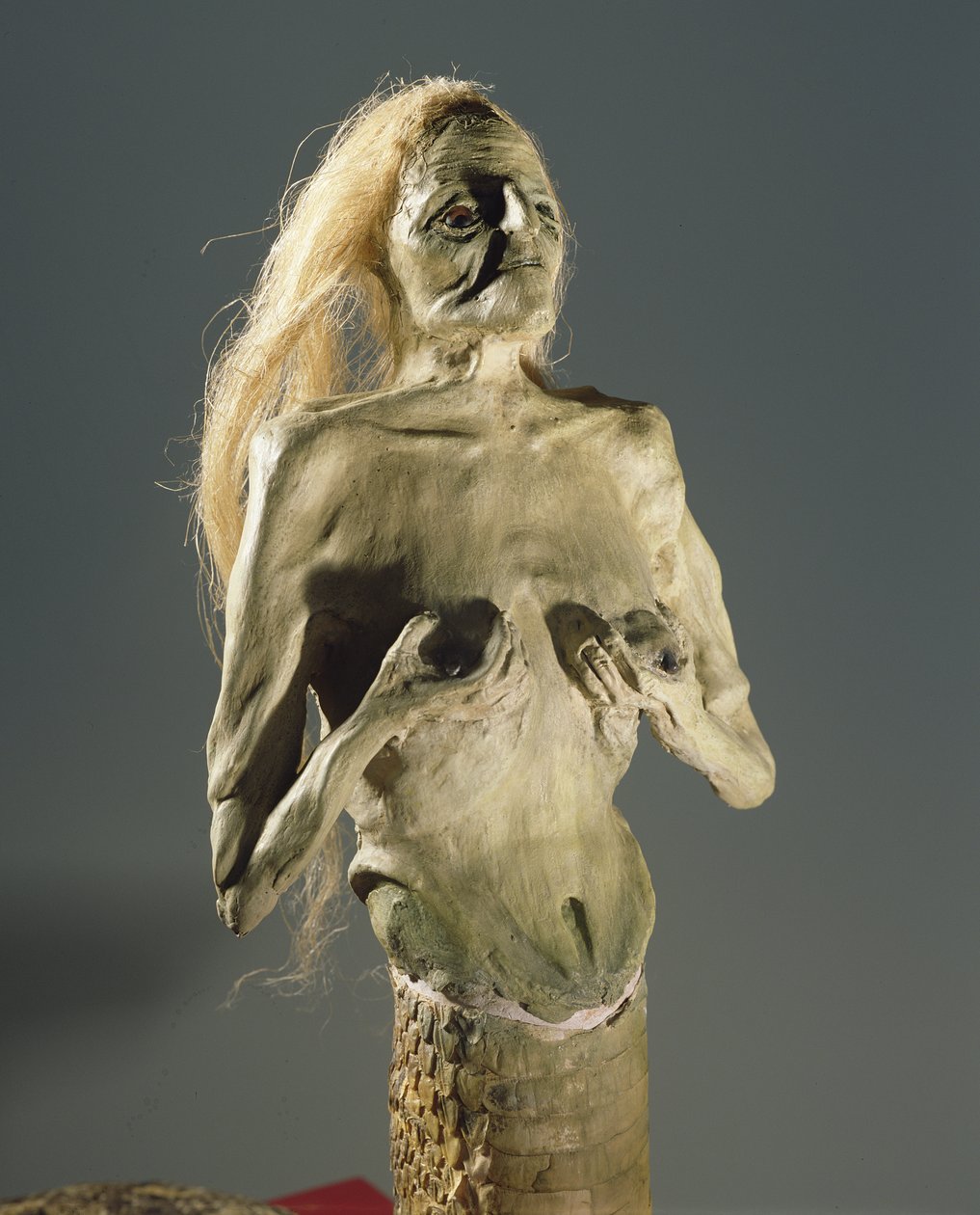Halvkvinne, halvslangeskapning, gyte av Melusine, 1900 av Unbekannt Unbekannt