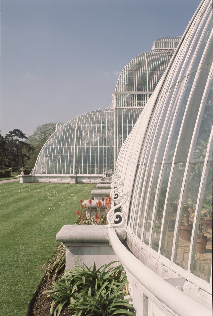 Del av Palm House, designet av Decimus Burton, 1800-81 av Unbekannt Unbekannt