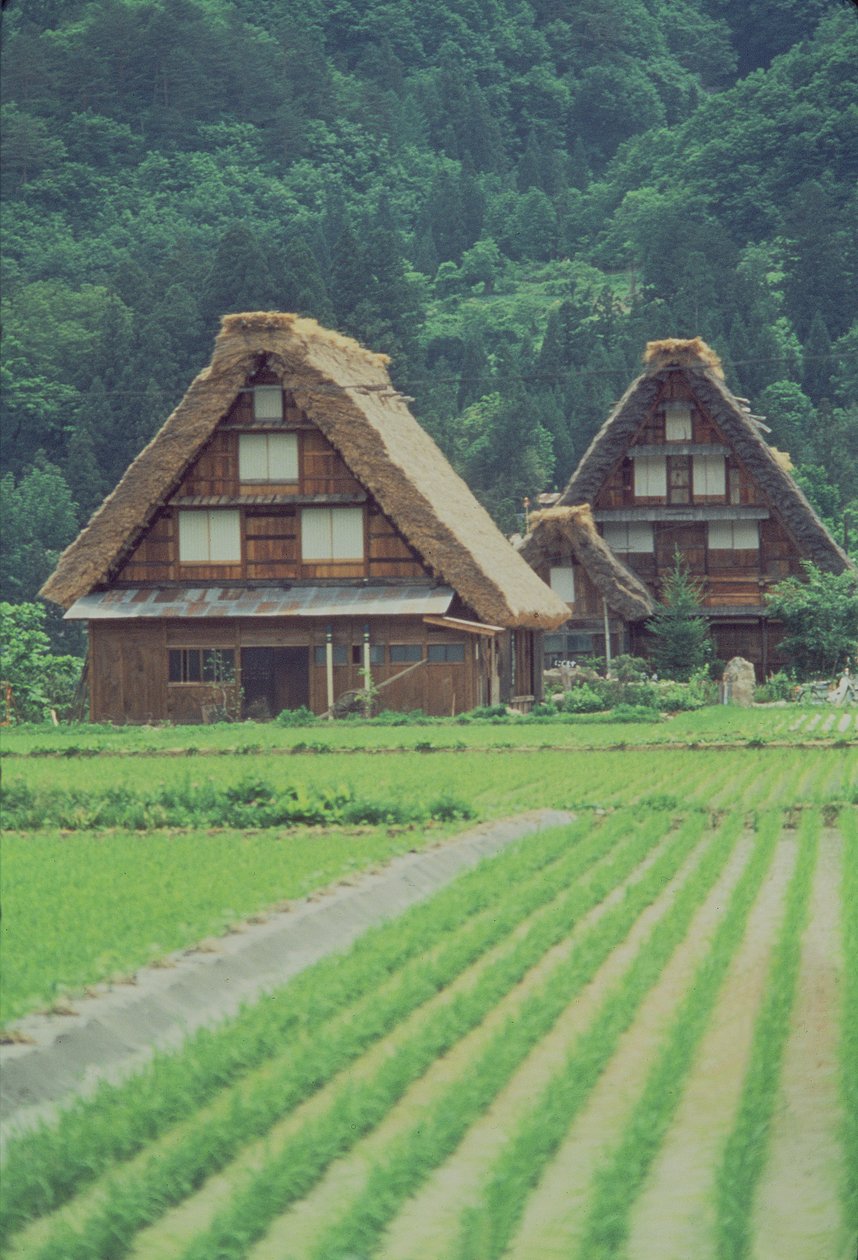 Shirakawa Village, Giju, Japan av Unbekannt Unbekannt