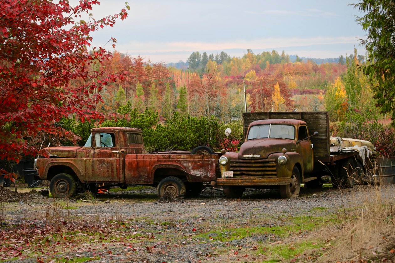 2 Autumn Vintage Trucks, 2018 av Unbekannt Unbekannt