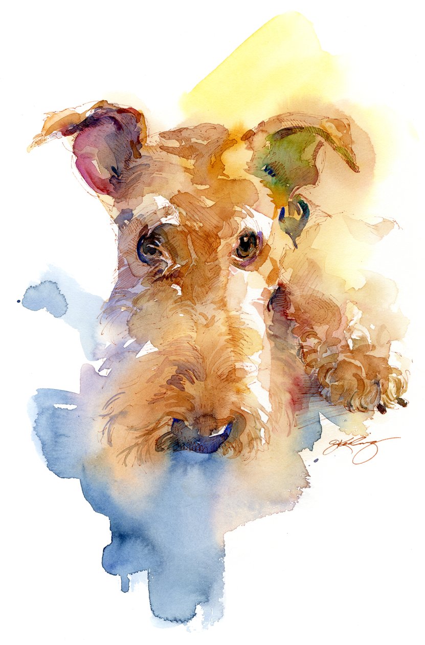Dexter portrett, 2015, av Unbekannt Unbekannt