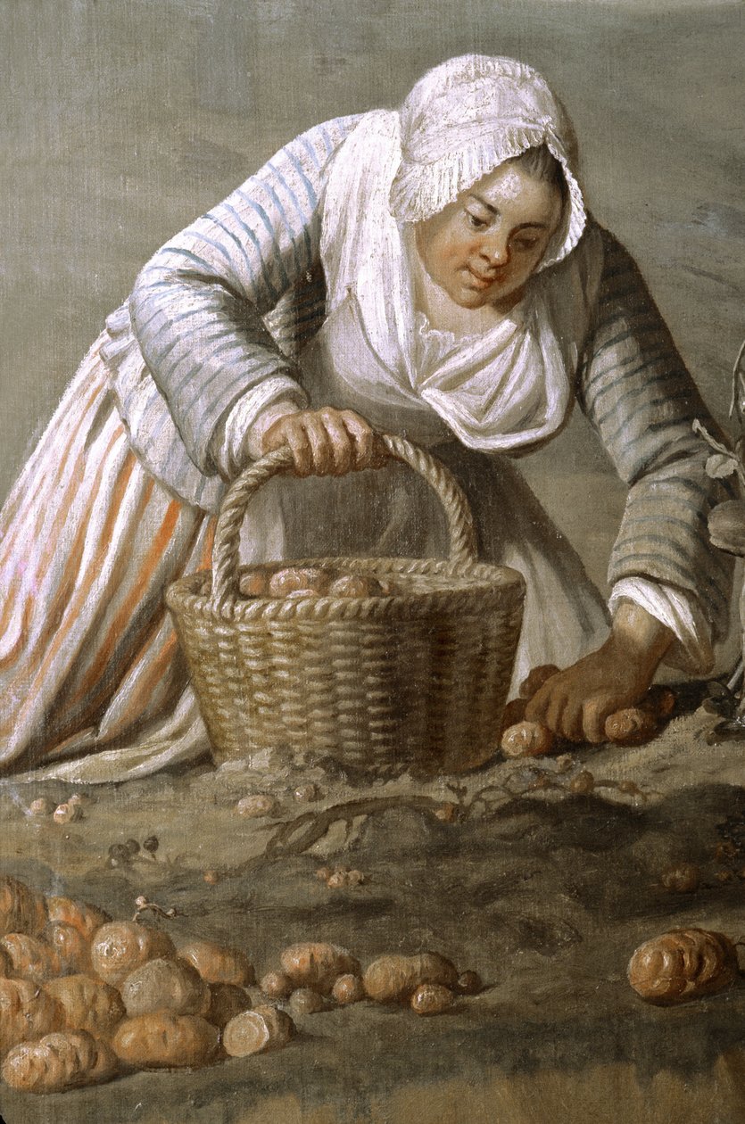 Frankrike - Somme - avdeling 80 - Amiens - Hotel de Berny - Museum for lokal kunst - Detaljmaleri av Dominique Doncre av Unbekannt Unbekannt