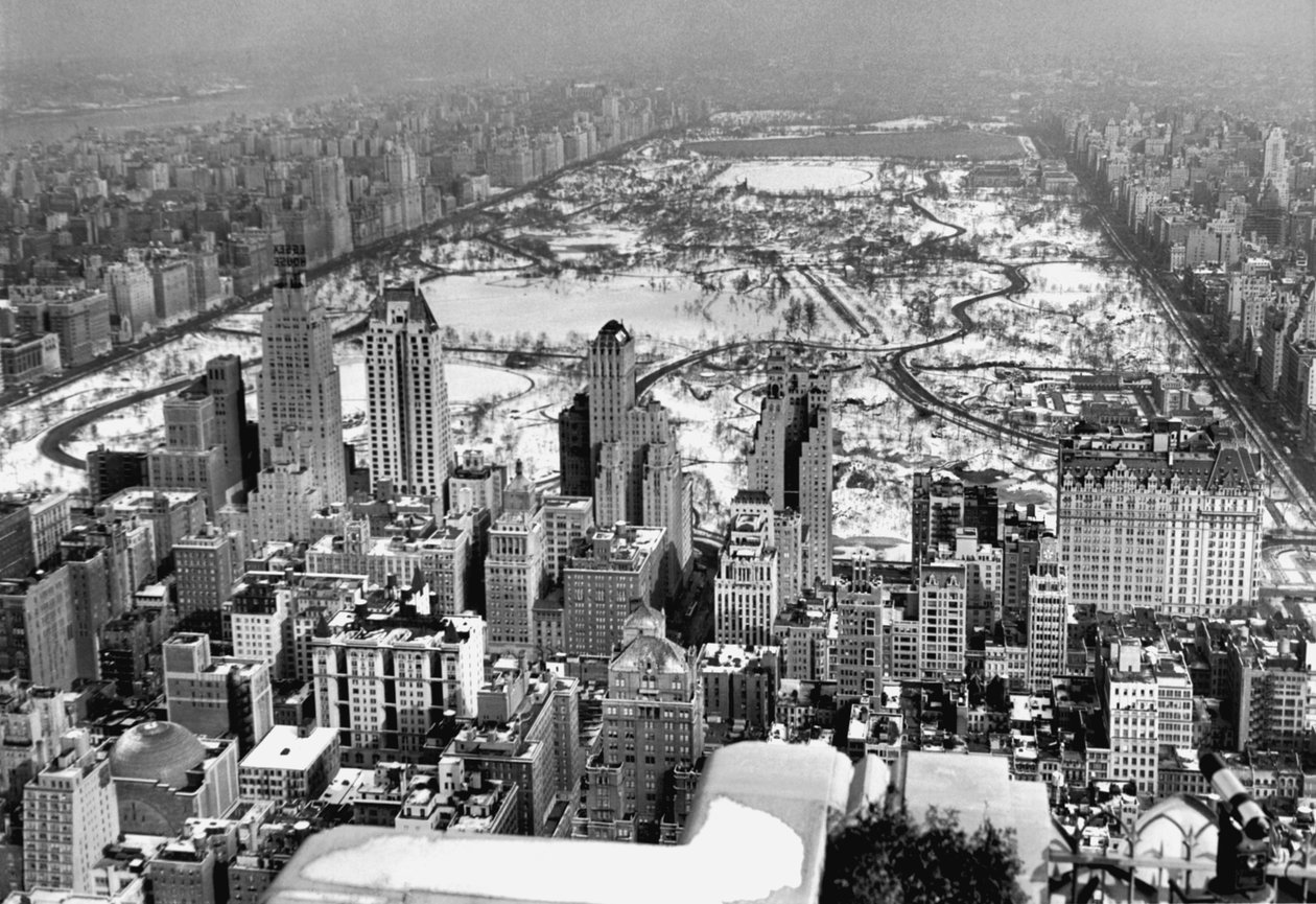 Utsikt over Midtown og Central Park av Unbekannt Unbekannt