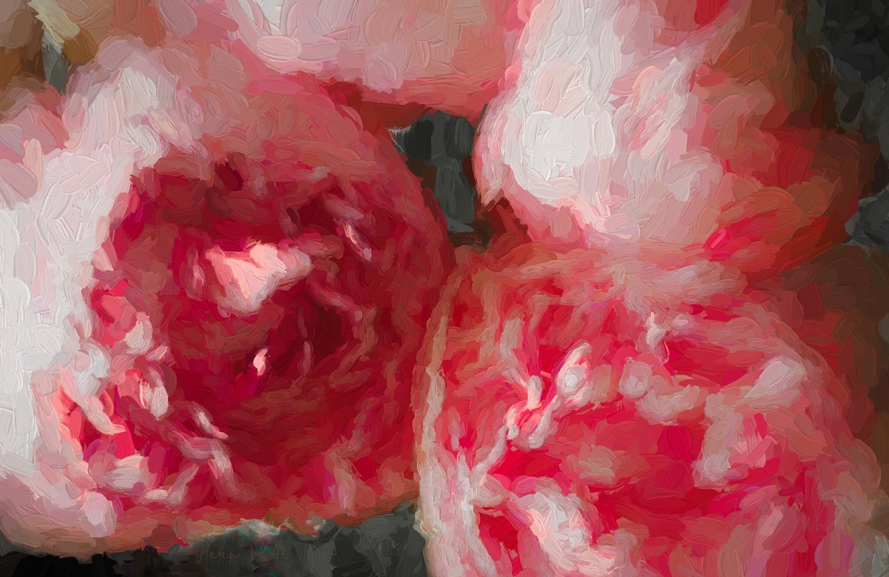 Rosa peoner, 2018, av Unbekannt Unbekannt