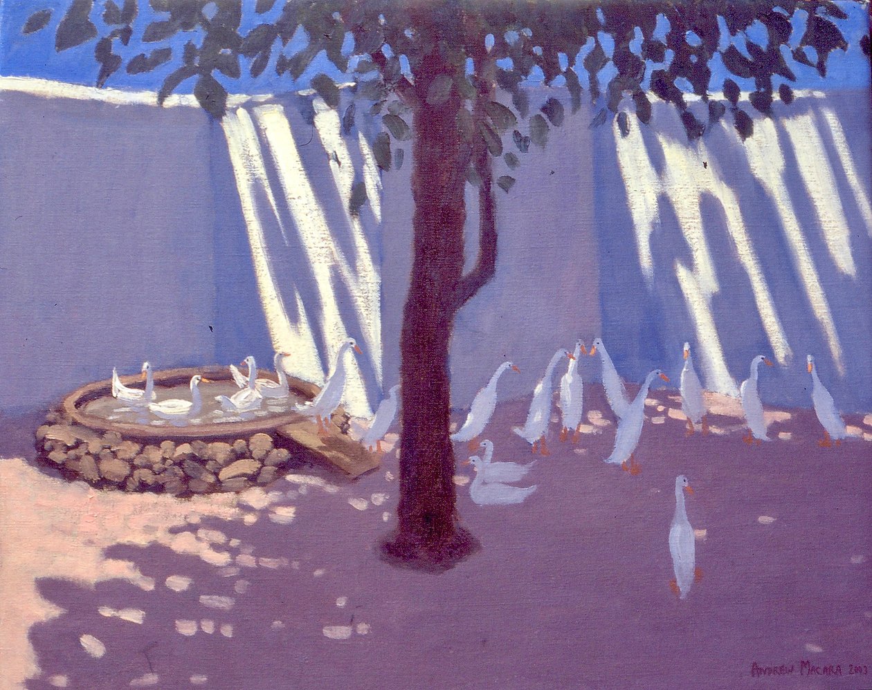 Runner Ducks, Sør-Afrika, 2011 av Unbekannt Unbekannt