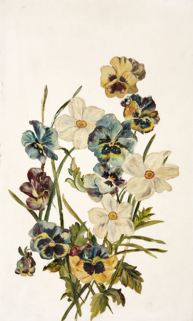 Stilleben, stemorsblomster og narcissi av Unbekannt Unbekannt