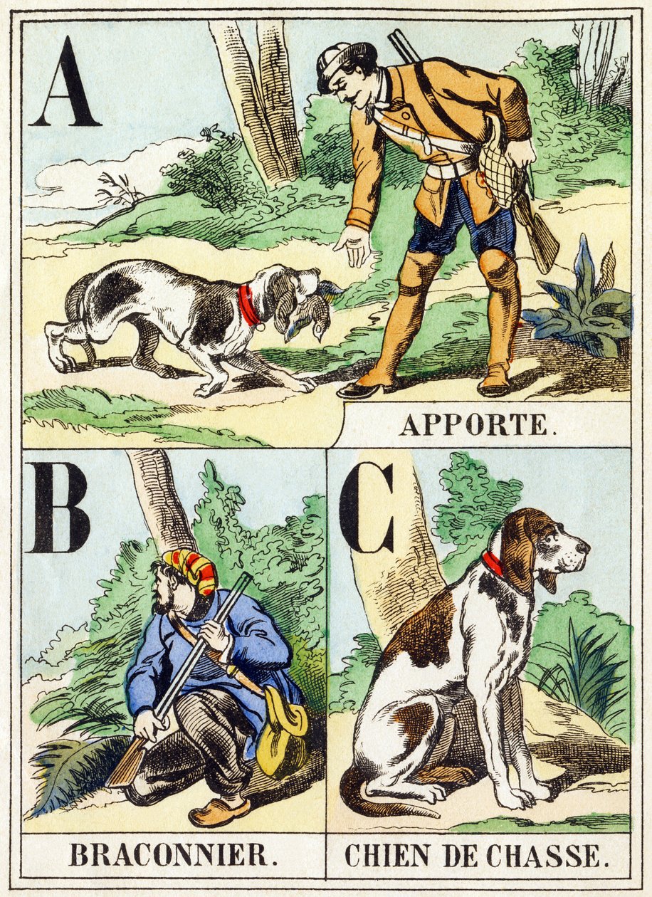 A B C: Bring, Poacher, Hunting Dog - The Hunting Alphabet, ca. 1890 (gravering) av Unbekannt