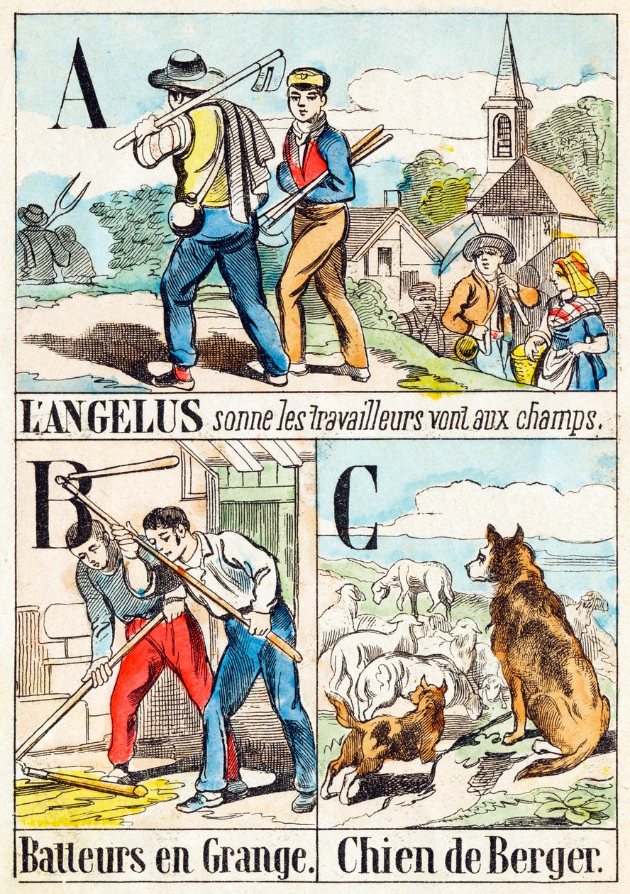 Ved Angelus går arbeiderne til markene; B Treskere i fjøs; C Sheepdog - "Alfabetet til gården" slutten av 1800-tallet (gravering) av Unbekannt