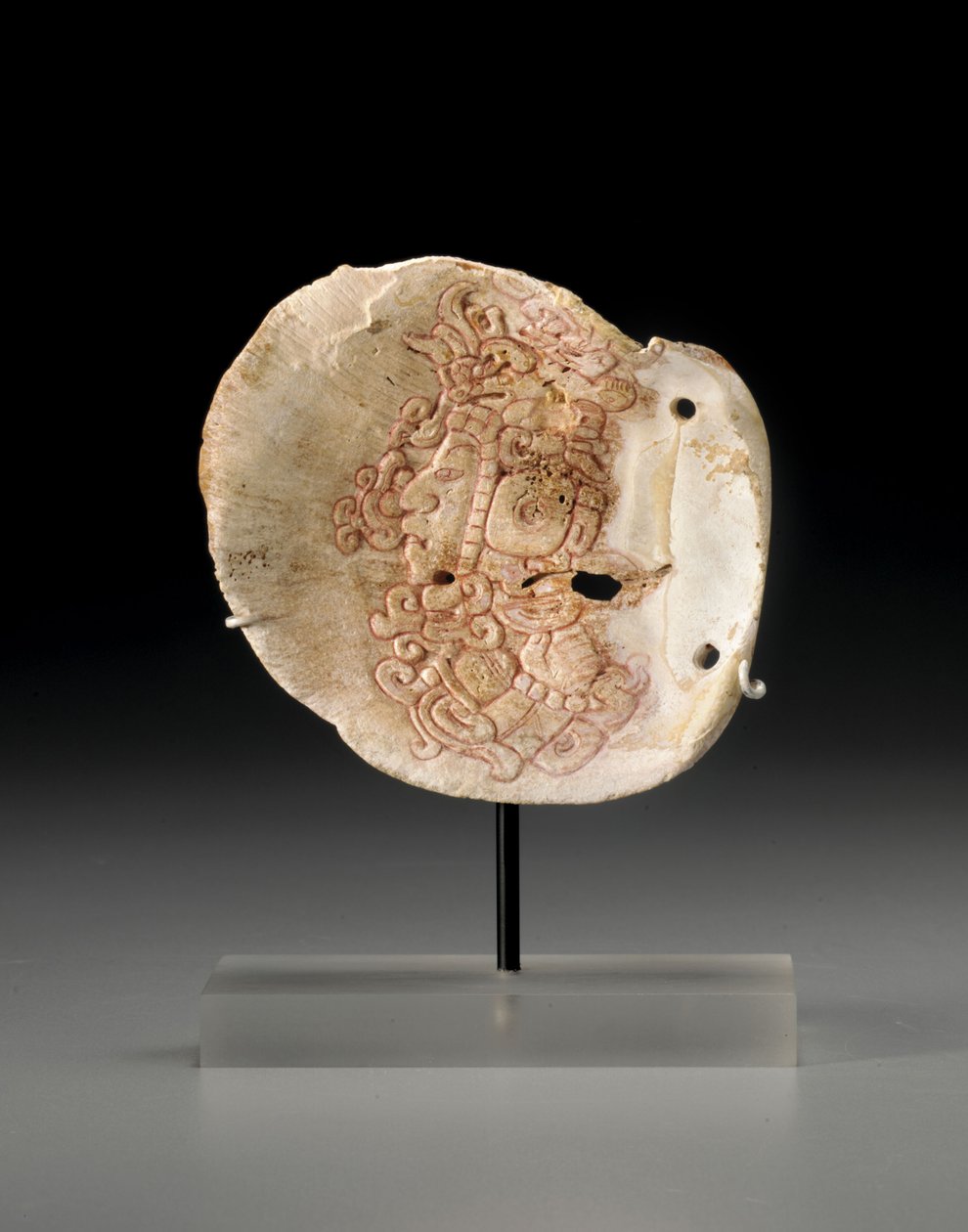 Et maya-skall brystparti med profiloverkroppen til en dignitær, ca. 450-650 av Unbekannt