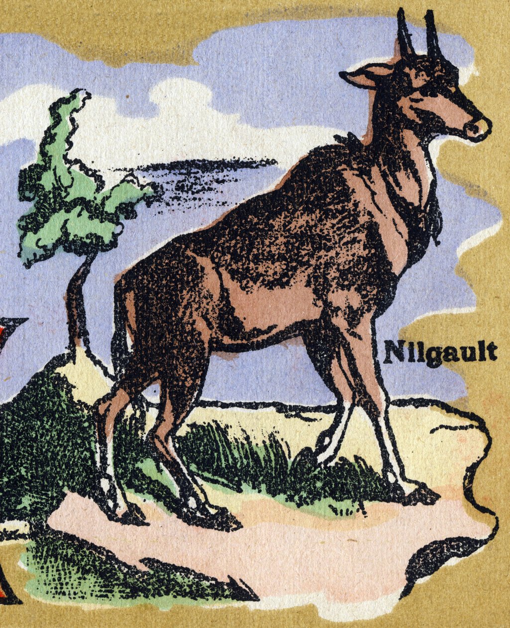En Nilgault. Illustrert alfabet. Bilder gjenforent i Jarville-Nancy, begynnelsen av det 20. århundre. Mål: 40 x 29 cm. Litografi på bistre bakgrunn av Unbekannt