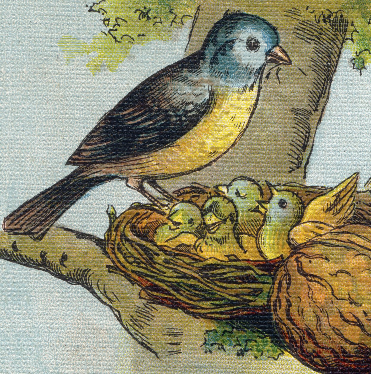 En fugl mater ungene sine i et reir. Gravering i "Alphabet de ma petite fille". Bernardin-Bechet og Fils, bokhandler-forlag, Paris, rundt 1895. Ubrytelig album på lerret. Bibliotheque des babes. 12 sider. Album som inneholder en lesemetode og en  av Unbekannt
