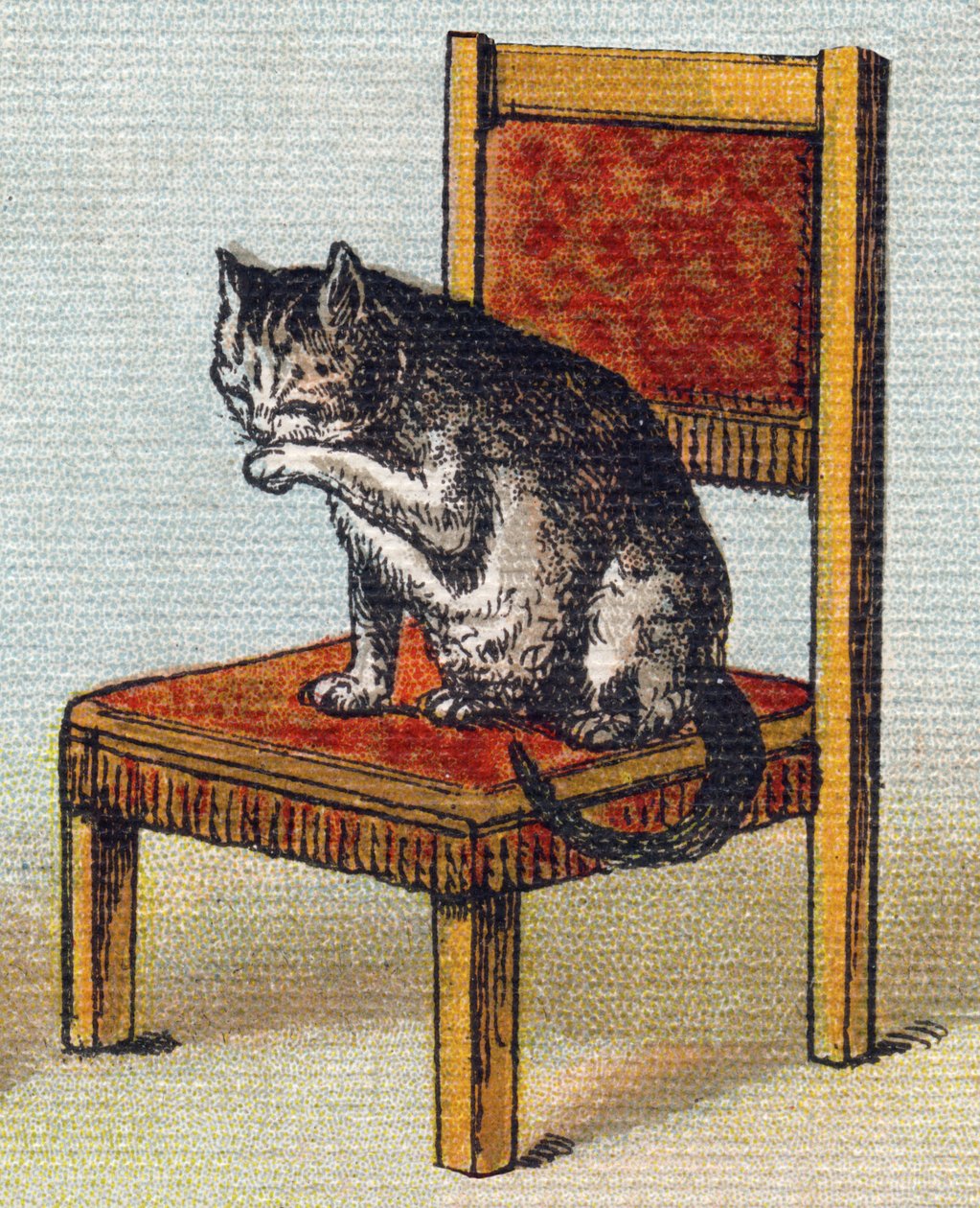 En katt på en stol. Gravering i "Alphabet de ma petite fille". Bernardin-Bechet og Fils, bokhandler-forlag, Paris, rundt 1895. Ubrytelig album på lerret. Bibliotheque des Bebes. 12 sider. Album som inneholder en lesemetode og en illustrativ abeceda av Unbekannt