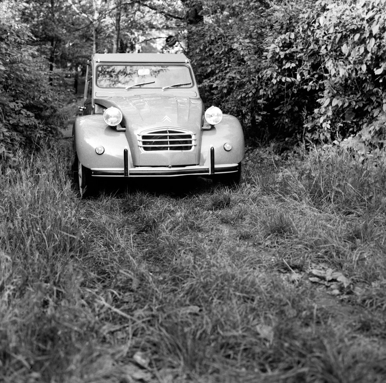 En familie som reiser i Citroen 2CV, Monza av Bartolome Esteban and studio Murillo