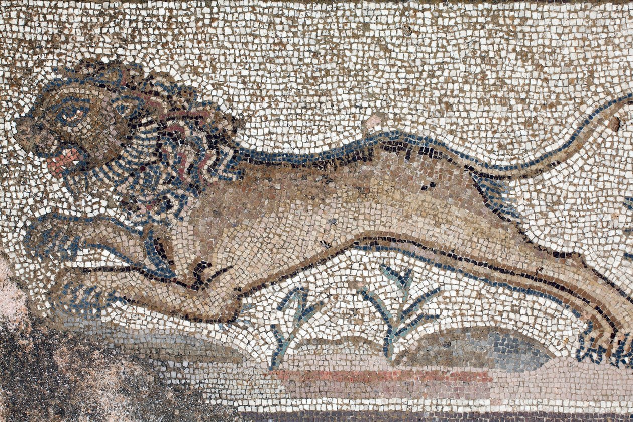 En løve - Detalj fra en frise som viser scener fra en jakt ved siden av panelet som representerer det første badet til Akilles - Paphos Mosaics, Villa of Theseus, 5. århundre e.Kr. - Kypros - En løve - Detalj av en frise som viser jaktscener rundt Mosaic r av William M. Timlin