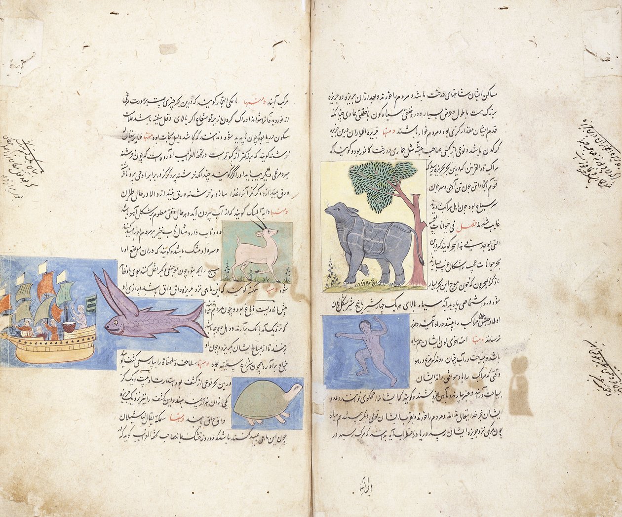 En side fra det persiske manuskriptet "Aja" ib al-Makhluqat wa Ghara "ib al-Maujudat av Unbekannt