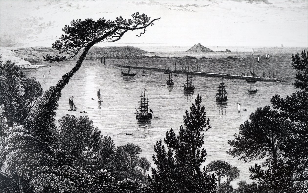 Utsikt over Plymouth havn. av Unbekannt