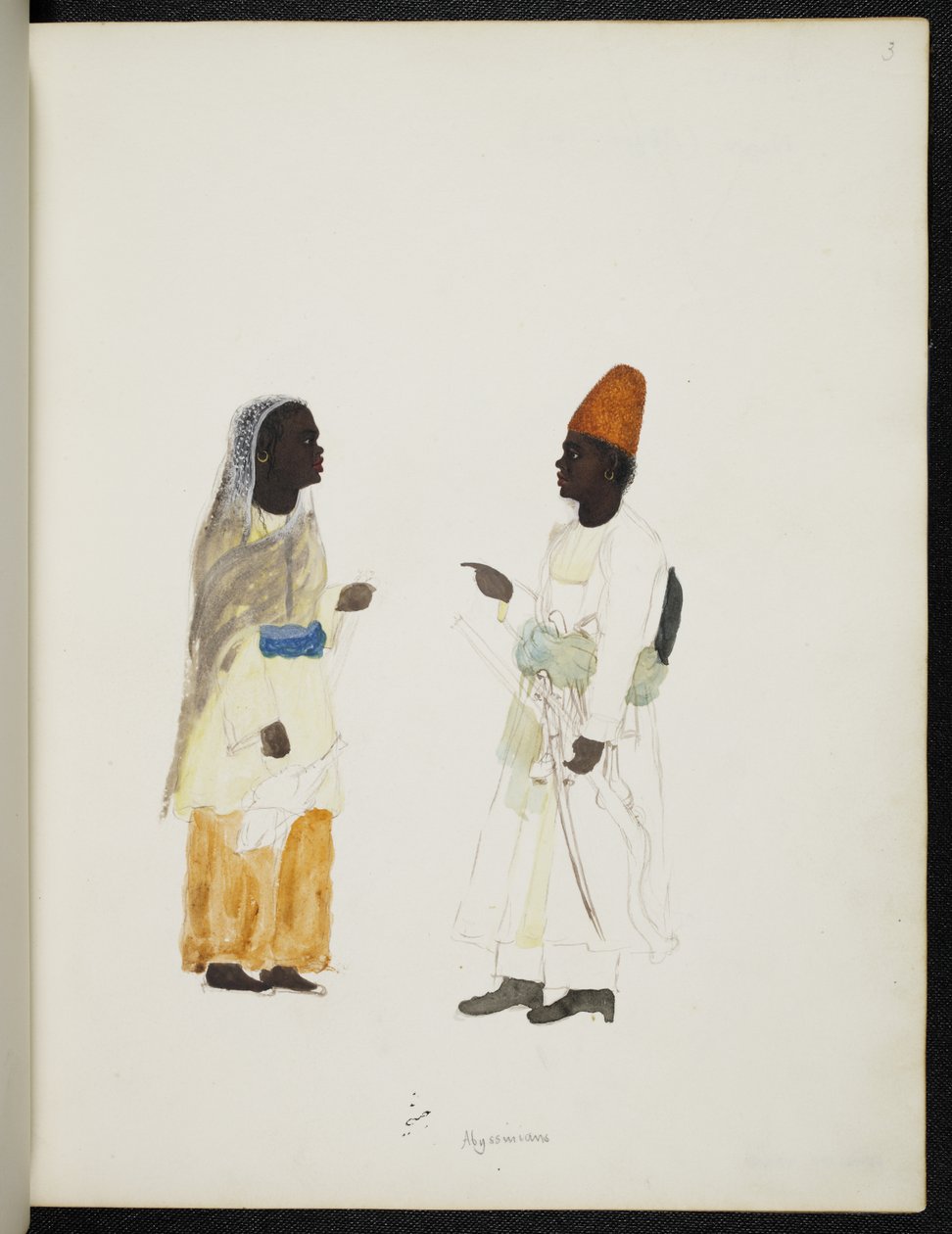 Add Or 1349 Abyssinians, Company Style Album (akvarell på papir) av Unbekannter Künstler