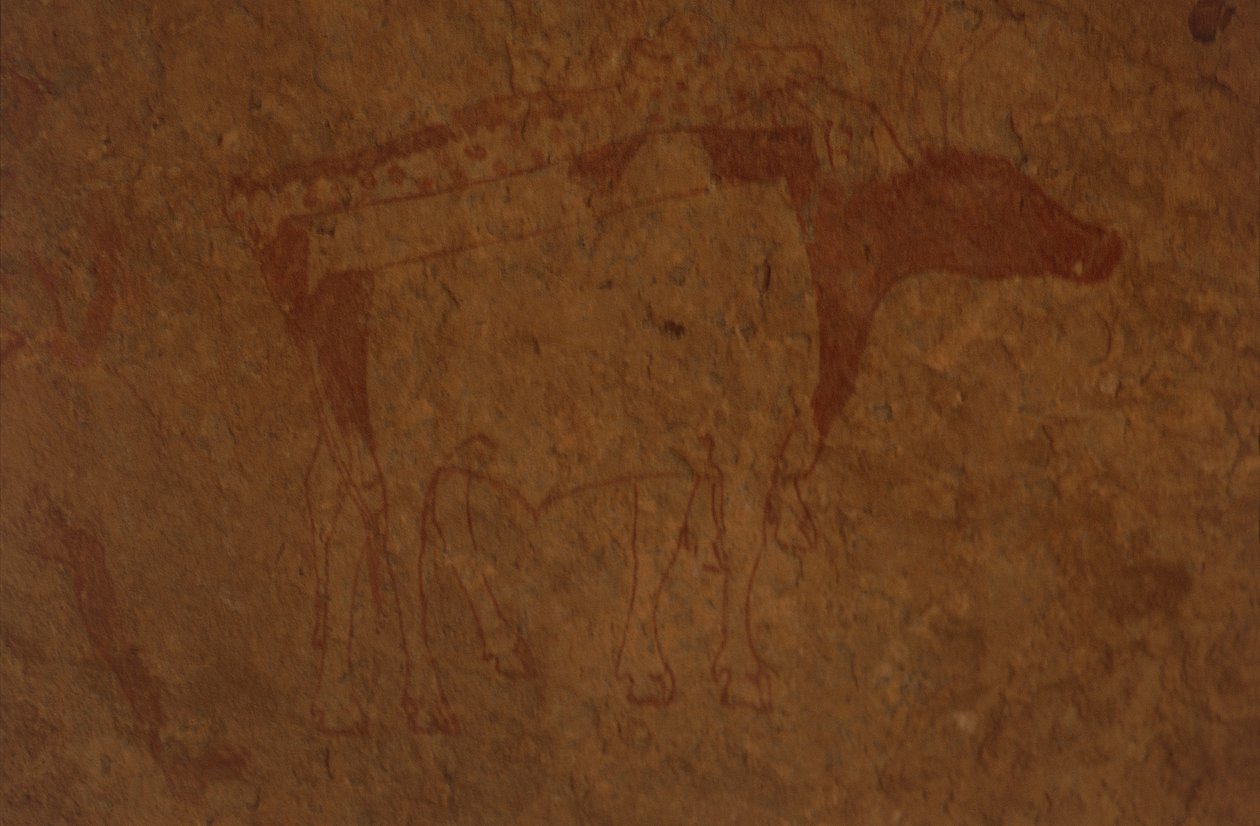 Algerie, Sahara-ørkenen, Tassili-n-Ajjer nasjonalpark, stedet for Sefar, bergmaleri som viser oksen. av William M. Timlin