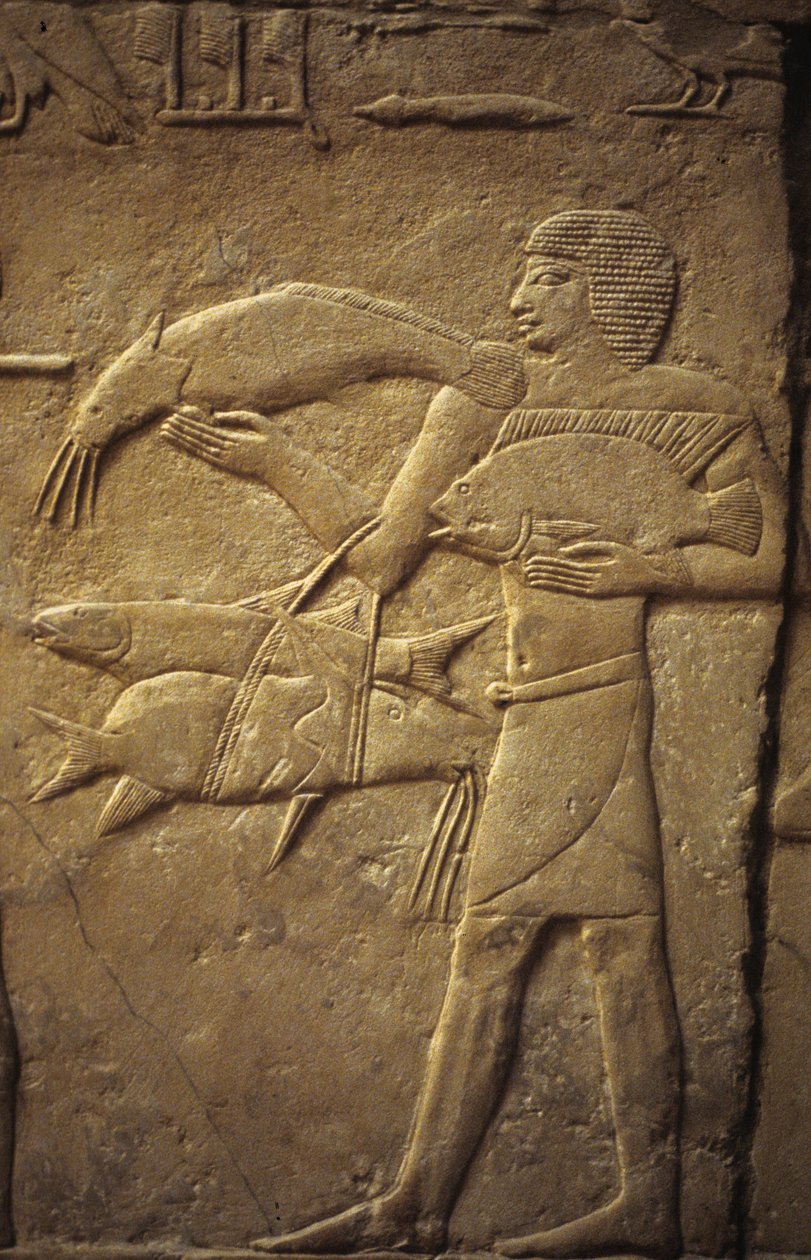 Det gamle Egypt: Saqqarah (eller Saqqara eller Sakkarah): nekropolis av det gamle imperiet, grav av adelige.. Detalj av relieffer som representerer en fisker. av Leopold Blonder