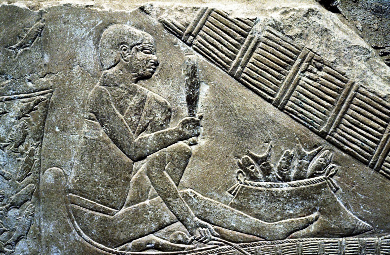 Det gamle Egypt: Saqqarah (eller Saqqara eller Sakkarah): nekropolis av det gamle imperiet, adeliges grav. Detalj av relieffer som representerer en fisker. av Leopold Blonder