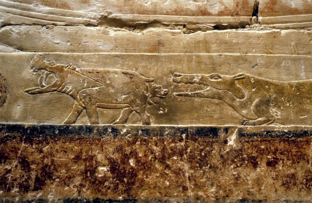 Det gamle Egypt: Saqqarah (eller Saqqara eller Sakkarah): graven til Ti (offisiell under det 5. dynastiet. Detalj som viser flodhester. av Leopold Blonder
