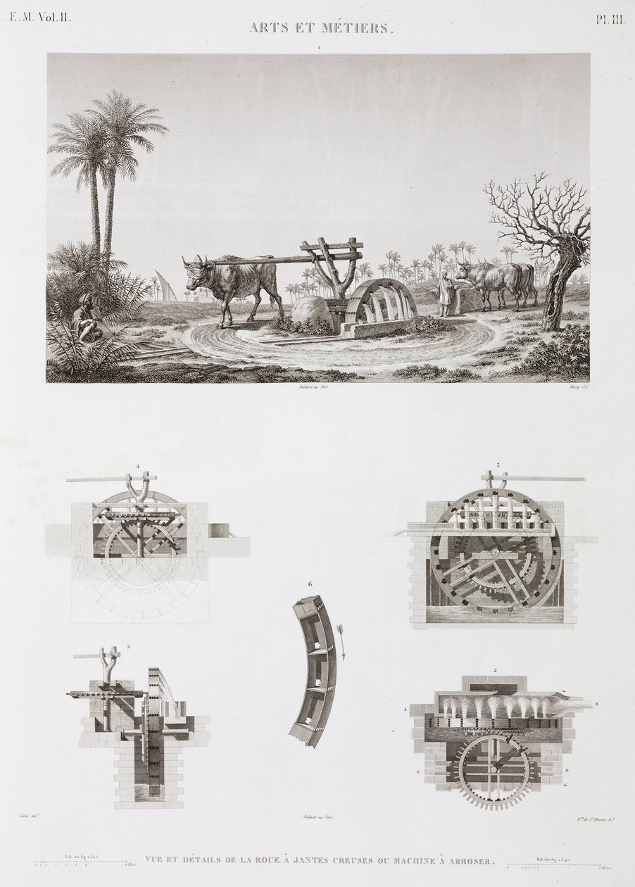 Animal Power Dyredrevet vanning, Egypt, ca 1798 av Unbekannt