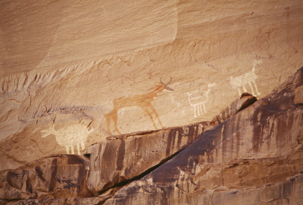 Dyrefigurer, bergmalerier av Navajo-kunstnere, Canyon de Chelly National Monument, Navajo Indian Reservation, Arizona, USA av Benjamin Baud