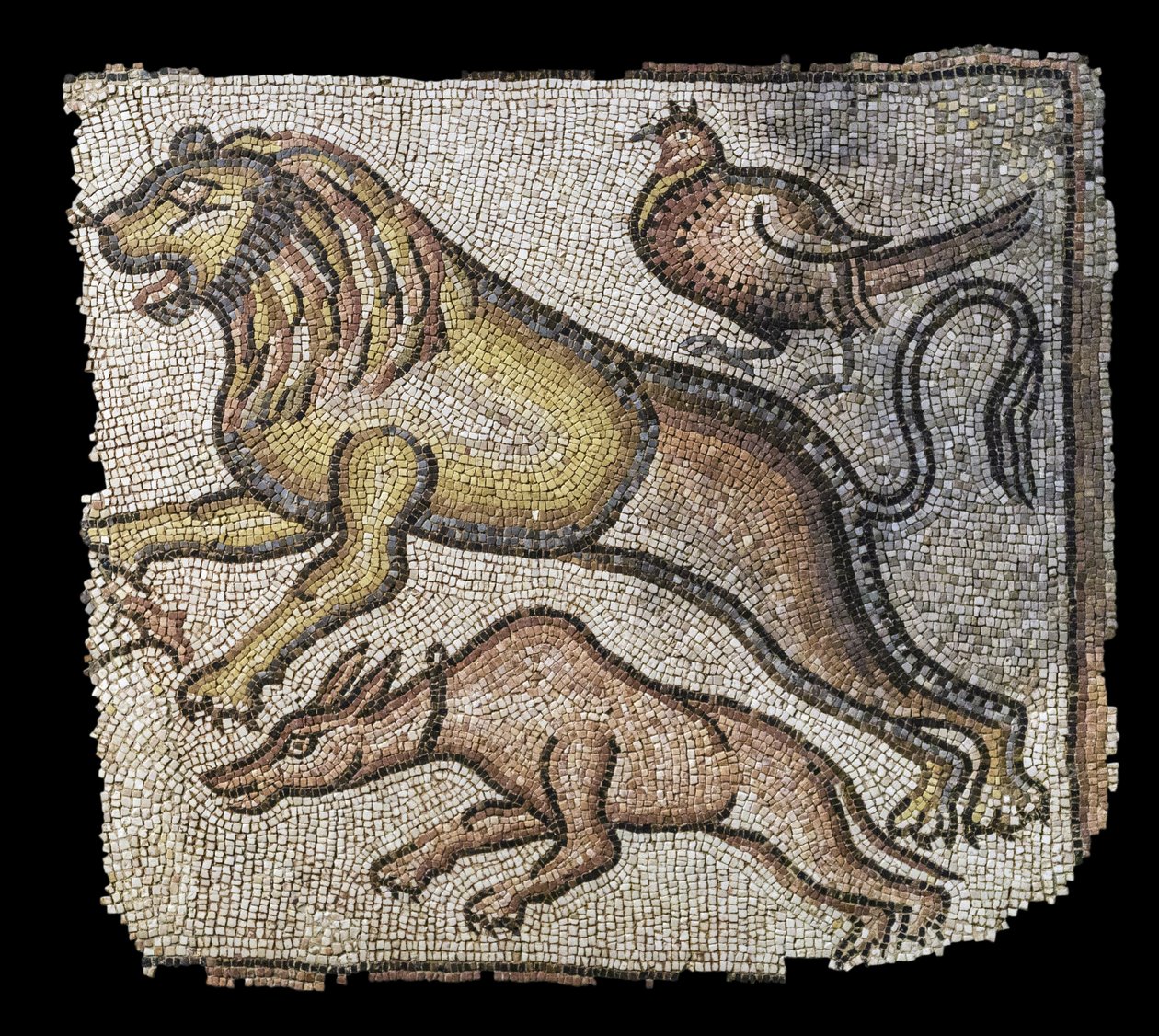 Dyr. Øst-Middelhavet, sent på 500-600-tallet. Terninger av marmor og kalkstein. Musée du Louvre av William M. Timlin
