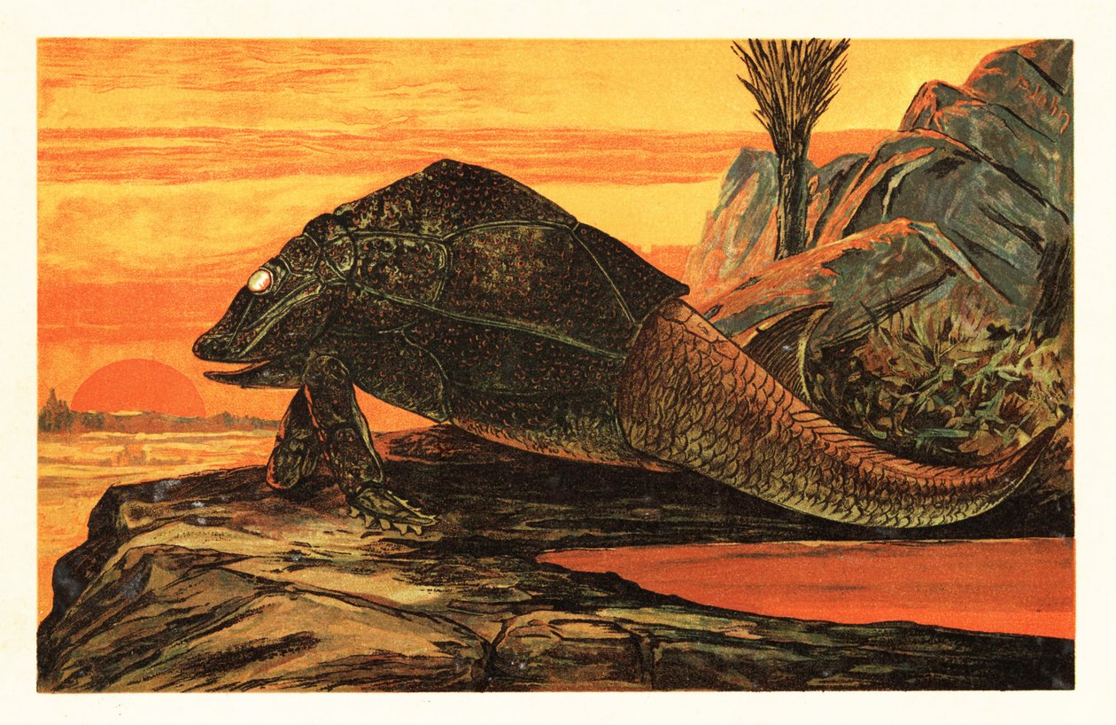 Asterolepis cornutus, utdødd art av panserbelagt fisk.1908 (litografi) av Unbekannter Künstler