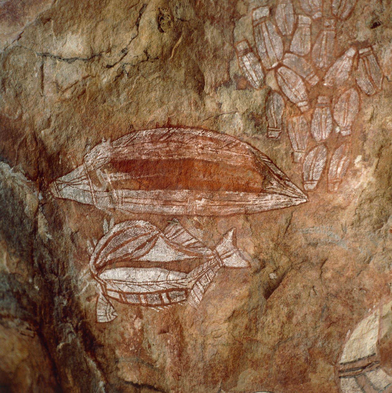 Australia, Northern Territory, Arnhem Land, Kakadu National Park, Nourlangie Rock, Aboriginal bergmalerier av Benjamin Baud