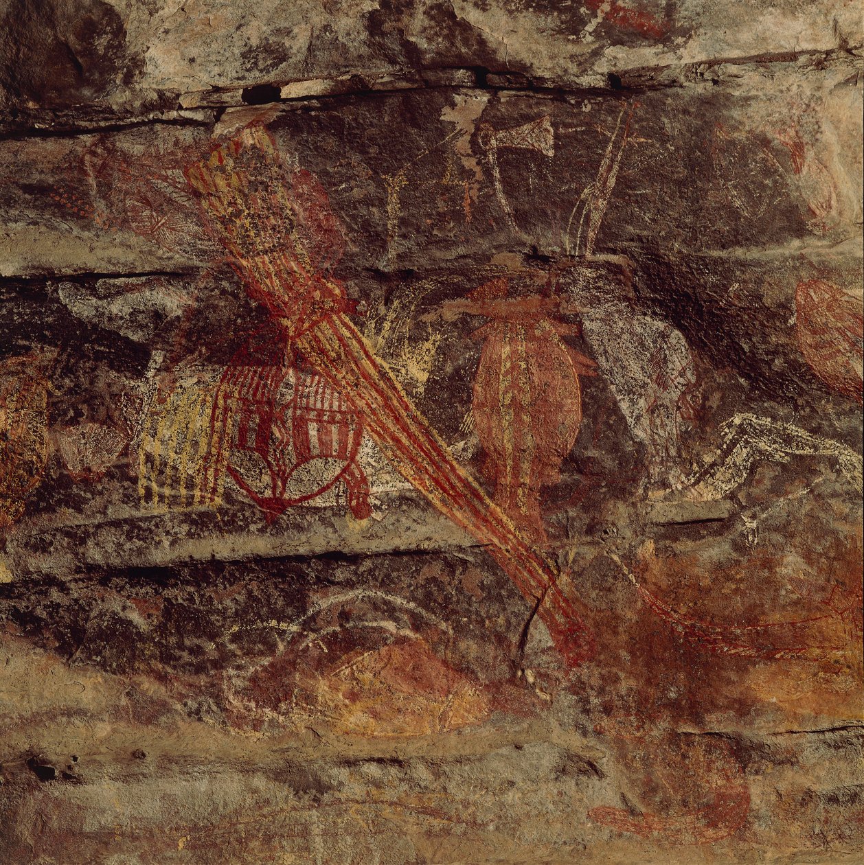 Australia, Northern Territory, Arnhem Land, Kakadu National Park, Obiri Rock, Aboriginal bergmalerier av Benjamin Baud