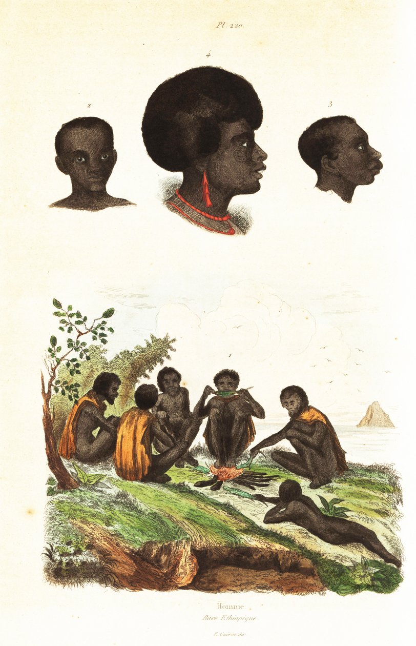 Australske aboriginer og overhoder for innfødte i Waigeo, Vest-Papua1834-1839 (gravering) av Unbekannter Künstler