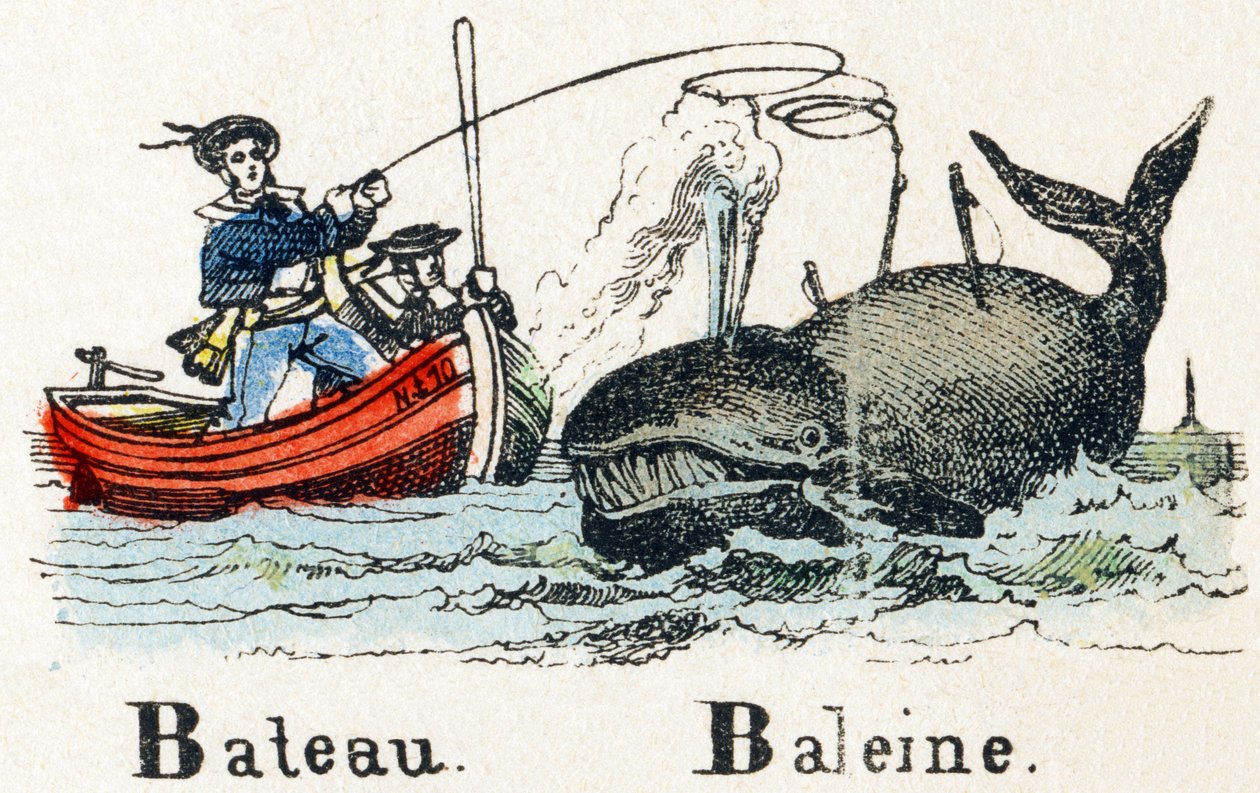 B - Hvalbåt - Alfabet - underholdning for barn - Bildeepinal, populær serie ca. 1890 (illustrasjon) av Unbekannt