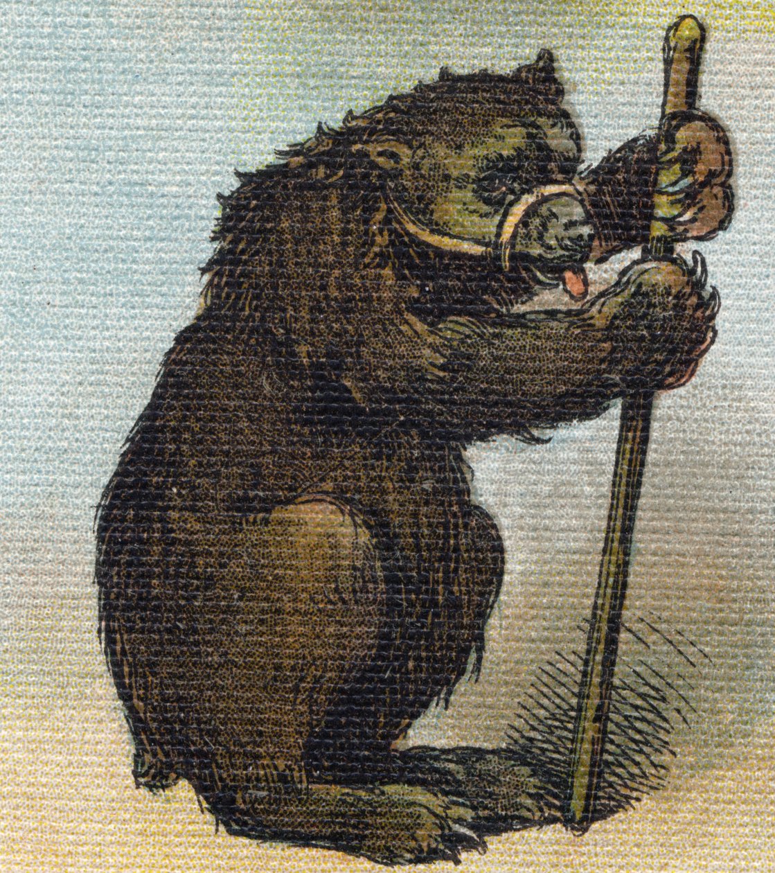 Bjørn. Gravering i "Alphabet de ma petite fille". Bernardin-Bechet og Fils, bokhandler-forlag, Paris, rundt 1895. Ubrytelig album på lerret. Bibliotheque des Bebes. 12 sider. Album som inneholder en lesemetode og et illustrerende abecedary. Dim: 29, av Unbekannt