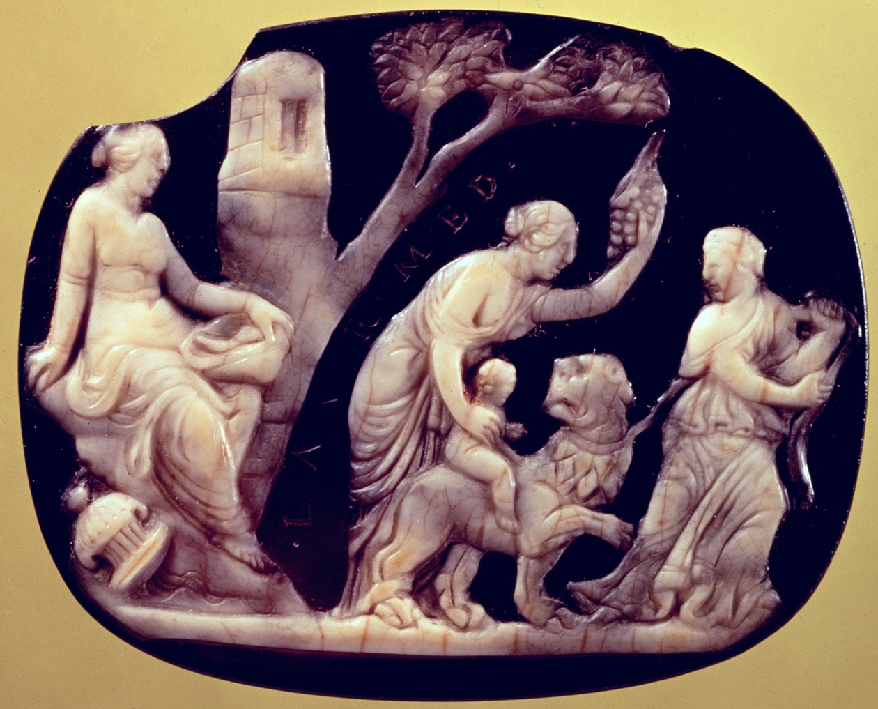 Kameo fra Dionysos barndom av Unbekannt