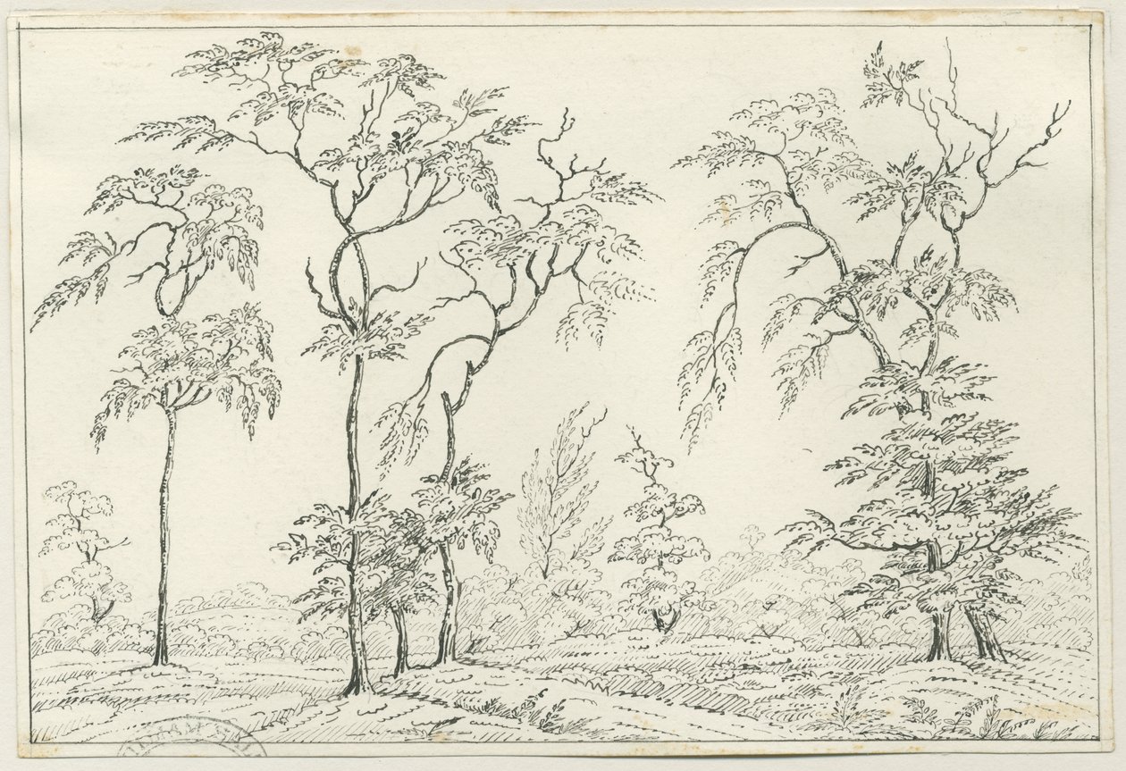 Cannock Chase: penn- og blyanttegning, nd [?1800-tallet] av Unbekannt