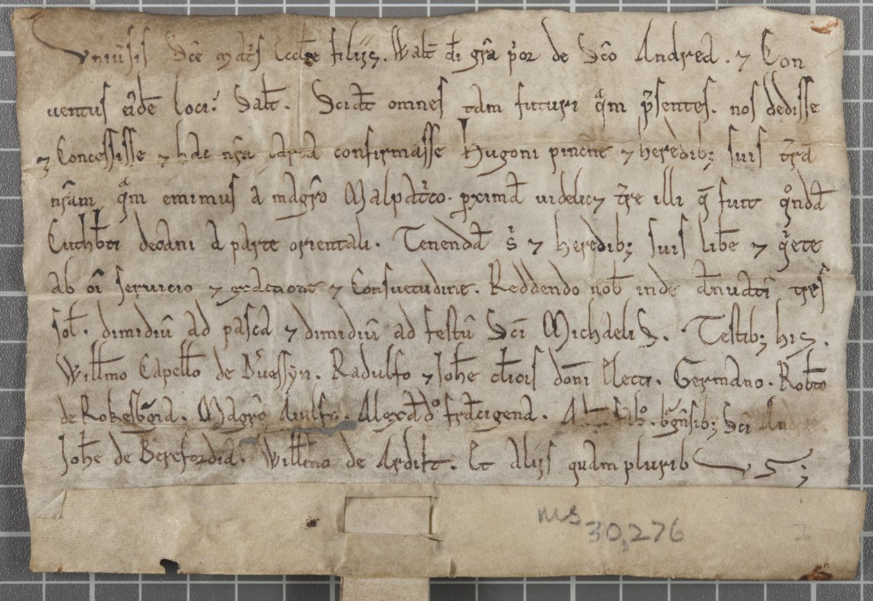 Charter av Walter, Prior of St Andrews av Unbekannt