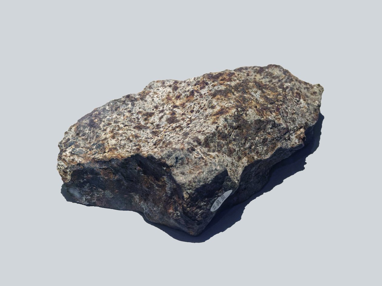 Chondrite Ordinary (L5). Tombe en Valera (Venezuela) i 1972. Natural History Museum, London. av Unbekannt