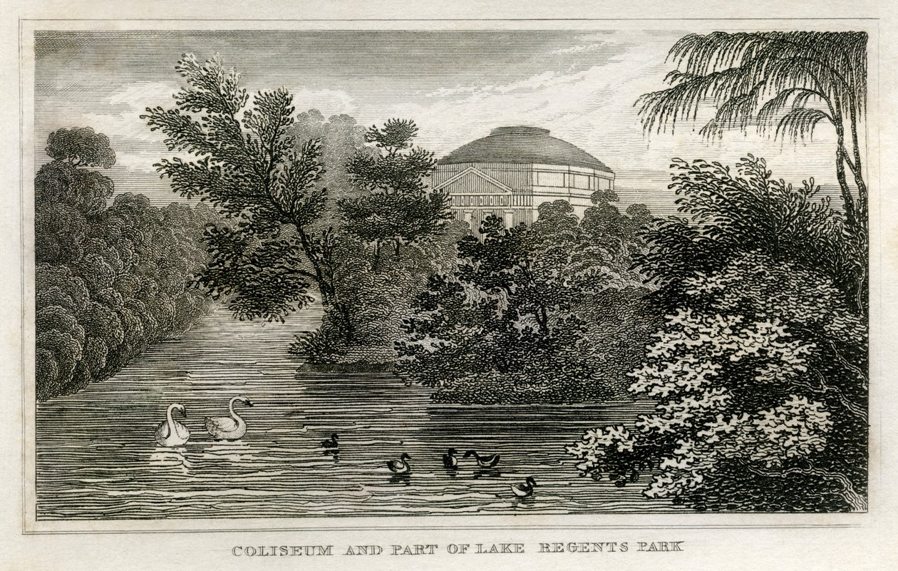 Colosseum og innsjø, Regent's Park av Unbekannt