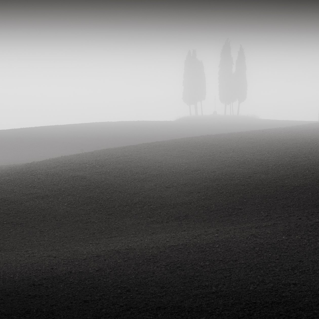 Konferanse, Toscana, Italia, 2015 (s/hvitt-bilde) av Leopold Blonder